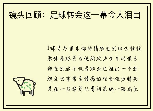镜头回顾：足球转会这一幕令人泪目